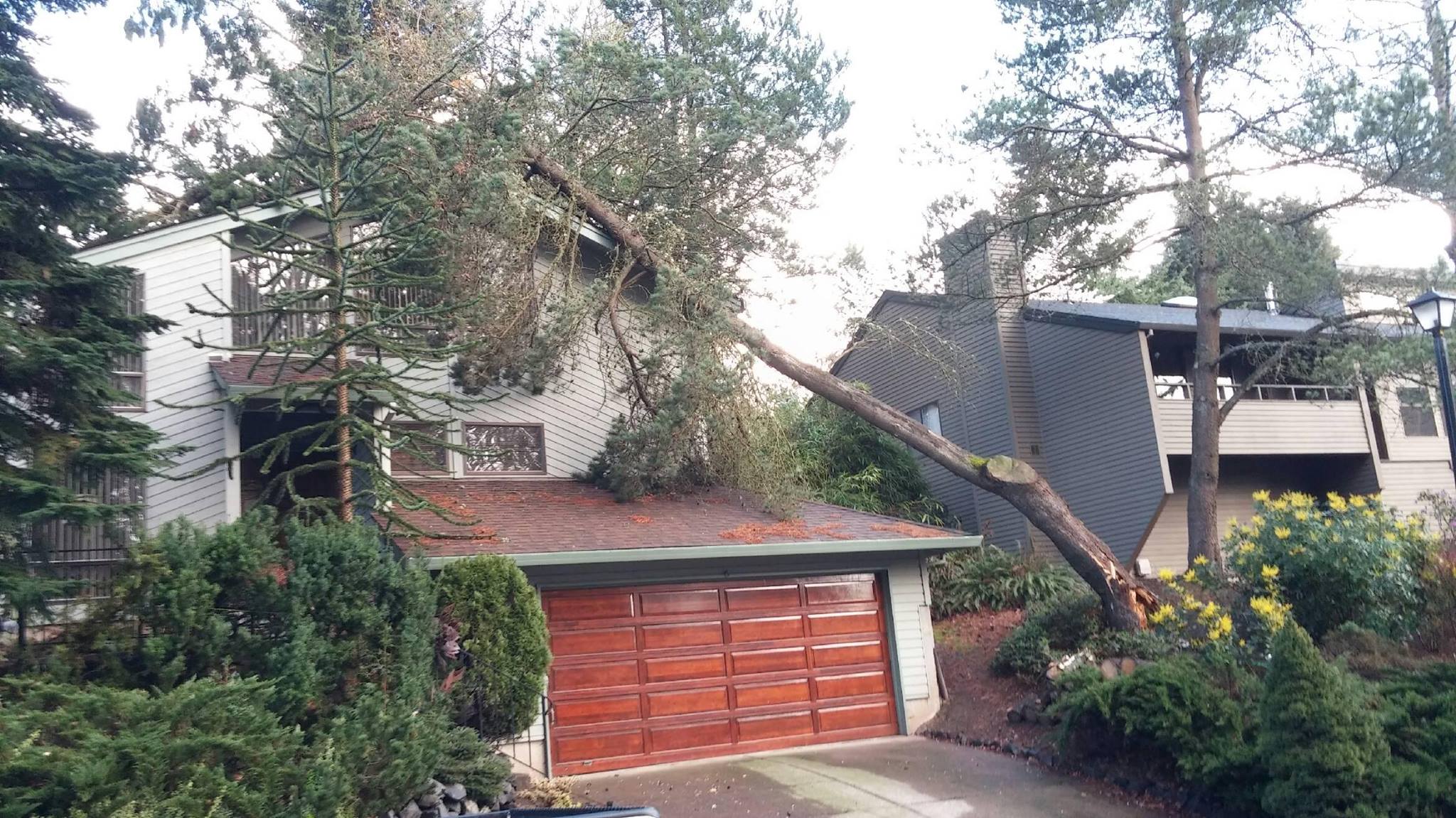 Home With Damage from a Fallen Tree During Storm